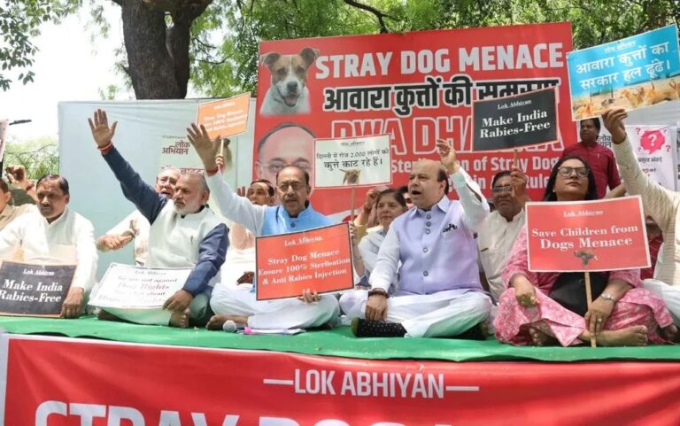 दिल्ली में आवारा कुत्तों के आतंक के खिलाफ जंतर-मंतर पर धरना, विजय गोयल के नेतृत्व में सैकड़ों लोग जुटे