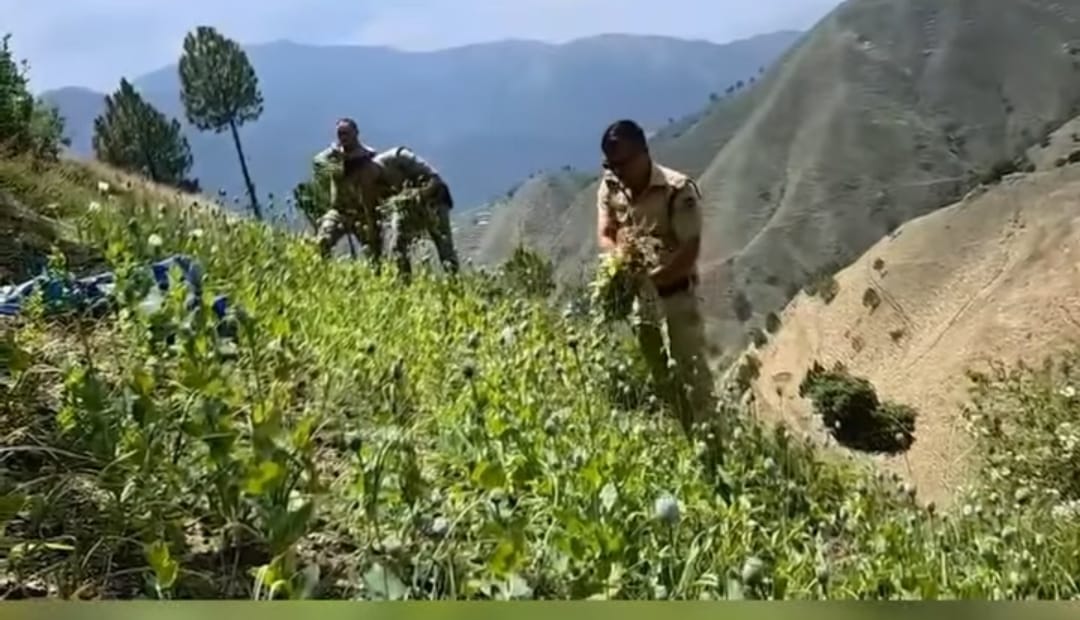 DrugsFreeDevbhoomi" अभियान के तहत दून पुलिस की बड़ी कार्रवाई,