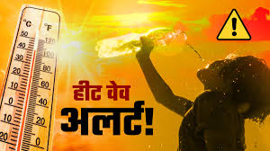 भीषण गर्मी से बेहाल देश, WMO की रिपोर्ट ने बढ़ाई चिंता