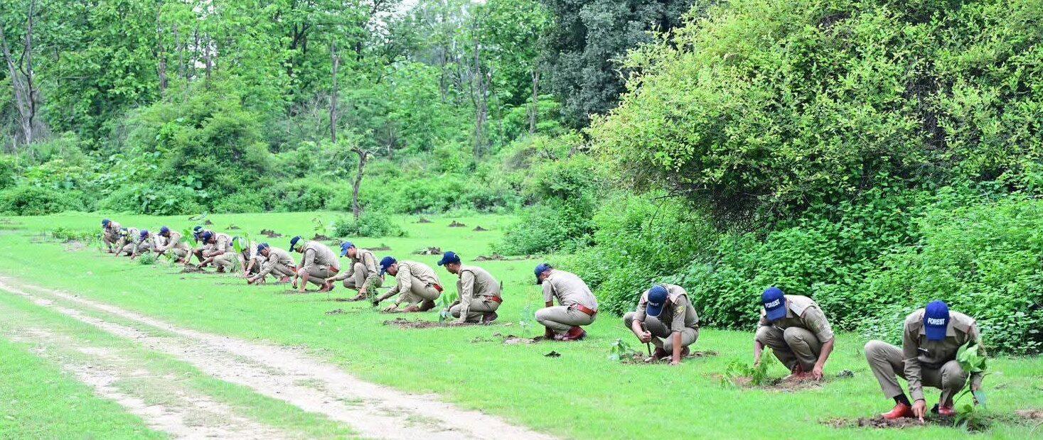 पुष्कर सिंह धामी ने कार्बेट नेशनल पार्क में किया जंगल सफारी का आनंद, ‘एक पेड़ माँ के नाम’ अभियान के तहत 1000 पौधे रोपे