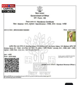 गजब बिहार: Dog के नाम पर बना निवास प्रमाण पत्र, अब क्या वो भी बनेगा मतदाता?