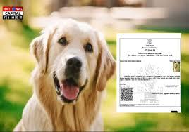 गजब बिहार: Dog के नाम पर बना निवास प्रमाण पत्र, अब क्या वो भी बनेगा मतदाता?
