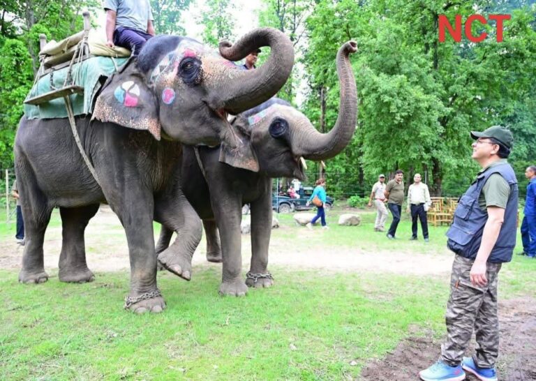 पुष्कर सिंह धामी ने कार्बेट नेशनल पार्क में किया जंगल सफारी का आनंद, ‘एक पेड़ माँ के नाम’ अभियान के तहत 1000 पौधे रोपे