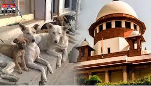आवारा कुत्तों पर Supreme Court का बड़ा फैसला