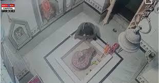 शिवलिंग के सामने जोड़े हाथ, फिर कर डाली चोरी!