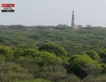 Delhi: में बढ़ेगी हरियाली: दक्षिणी रिज क्षेत्र को मिला ‘आरक्षित वन’ का दर्जा