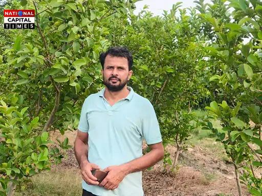 high-density plantation